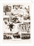Athletic Sports By Boys Of A Training Ship, 1883 by Anonymous