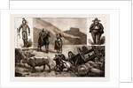 In The Transvaal, South Africa by Anonymous