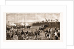 The Rebellion In Sudan, 1883 by Anonymous