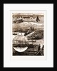 The Herring Fishery At Caithness, UK by Anonymous