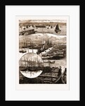 The Herring Fishery At Caithness, UK by Anonymous
