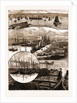 The Herring Fishery At Caithness, UK by Anonymous