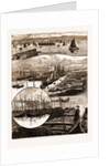 The Herring Fishery At Caithness, UK by Anonymous
