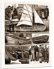 The International Fisheries Exhibition At South Kensington, London by Anonymous