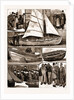 The International Fisheries Exhibition At South Kensington, London by Anonymous