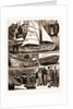 The International Fisheries Exhibition At South Kensington, London by Anonymous