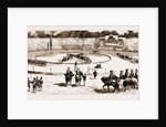 Tournament At Rome In Honour Of The Duke Of Genoa And His Bride, The Princess Isabella Of Bavaria by Anonymous