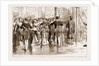The Coronation Of The Czar Of Russia by Anonymous