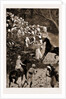Life In Southern India by Anonymous