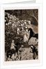 Life In Southern India by Anonymous