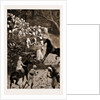 Life In Southern India by Anonymous