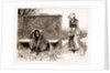 The Romantic Adventures Of A Milkmaid: The Attitude Bespoke Anguish, 1883 by Anonymous