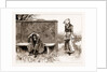 The Romantic Adventures Of A Milkmaid: The Attitude Bespoke Anguish, 1883 by Anonymous