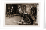 Thirlby Hall, Drawn By William Small, 1883; Lady Constance Looked Me Full In The Face, And Laughed, And Then The Stranger Laughed Too. by Anonymous