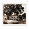 Private Dwelling House, Batavia, Java, Indonesia, 1883 by Anonymous