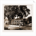 Private Dwelling House, Batavia, Java, Indonesia, 1883 by Anonymous