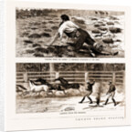 Thrown From His Horse, A Disabled Stockman In The Bush, And Lassoing Colts For Branding, New South Wales by Anonymous