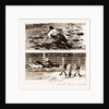 Thrown From His Horse, A Disabled Stockman In The Bush, And Lassoing Colts For Branding, New South Wales by Anonymous