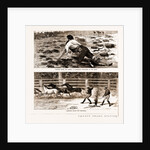 Thrown From His Horse, A Disabled Stockman In The Bush, And Lassoing Colts For Branding, New South Wales by Anonymous