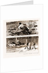 Thrown From His Horse, A Disabled Stockman In The Bush, And Lassoing Colts For Branding, New South Wales by Anonymous