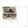 Thrown From His Horse, A Disabled Stockman In The Bush, And Lassoing Colts For Branding, New South Wales by Anonymous