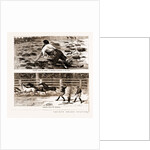 Thrown From His Horse, A Disabled Stockman In The Bush, And Lassoing Colts For Branding, New South Wales by Anonymous