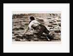 Thrown From His Horse, A Disabled Stockman In The Bush, New South Wales, Australia, 1883 by Anonymous