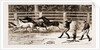 Lassoing Colts For Branding, New South Wales, Australia, 1883 by Anonymous