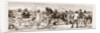 At An Indian Horse Fair: A Sketch At Muttra, 1883 by Anonymous