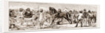 At An Indian Horse Fair: A Sketch At Muttra, 1883 by Anonymous