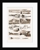 Sketches On The Meuse Between Namur And Givet, 1883 by Anonymous
