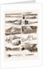 Sketches On The Meuse Between Namur And Givet, 1883 by Anonymous