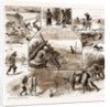 Some Indian Sporting Notes, 1883; The Bait Ready, Quail Snaring With Trained Cattle, Jackal Hunting, Washerman At Work by Anonymous