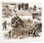 Some Indian Sporting Notes, 1883; The Bait Ready, Quail Snaring With Trained Cattle, Jackal Hunting, Washerman At Work by Anonymous