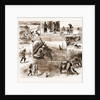 Some Indian Sporting Notes, 1883; The Bait Ready, Quail Snaring With Trained Cattle, Jackal Hunting, Washerman At Work by Anonymous