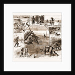 Some Indian Sporting Notes, 1883; The Bait Ready, Quail Snaring With Trained Cattle, Jackal Hunting, Washerman At Work by Anonymous
