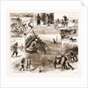 Some Indian Sporting Notes, 1883; The Bait Ready, Quail Snaring With Trained Cattle, Jackal Hunting, Washerman At Work by Anonymous