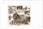 Some Indian Sporting Notes, 1883; The Bait Ready, Quail Snaring With Trained Cattle, Jackal Hunting, Washerman At Work by Anonymous