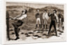New South Wales, Australia, 1883 by Anonymous
