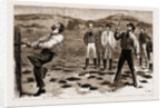 New South Wales, Australia, 1883 by Anonymous