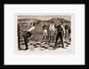 New South Wales, Australia, 1883 by Anonymous