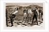 New South Wales, Australia, 1883 by Anonymous
