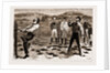 New South Wales, Australia, 1883 by Anonymous