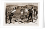 New South Wales, Australia, 1883 by Anonymous