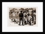 Our First Lady Visitors, New South Wales, Australia, 1883 by Anonymous