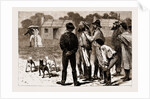 Our First Lady Visitors, New South Wales, Australia, 1883 by Anonymous