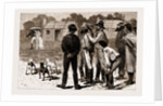 Our First Lady Visitors, New South Wales, Australia, 1883 by Anonymous