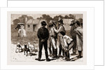 Our First Lady Visitors, New South Wales, Australia, 1883 by Anonymous