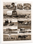 Scenes From An Emigrant's Life In Manitoba, Canada, 1883 by Anonymous