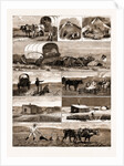 Scenes From An Emigrant's Life In Manitoba, Canada, 1883 by Anonymous